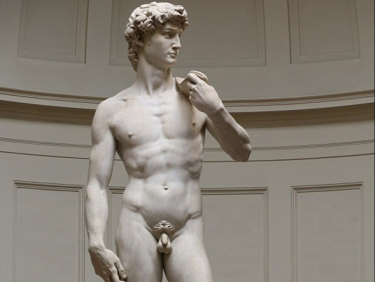De goddelijke Michelangelo